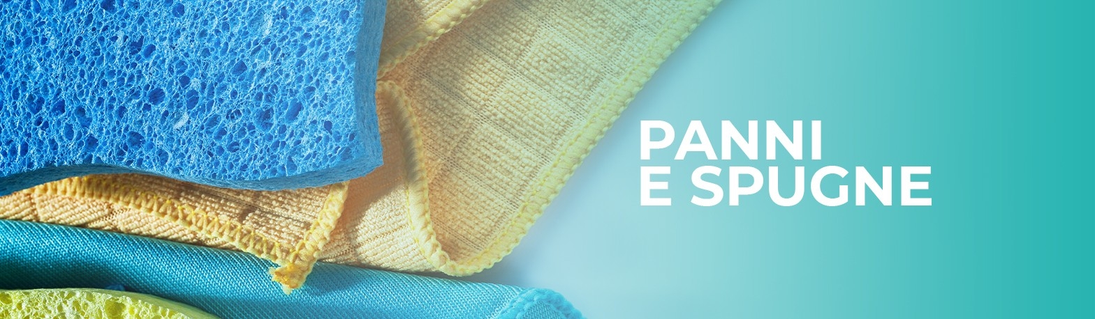 Panni e spugne