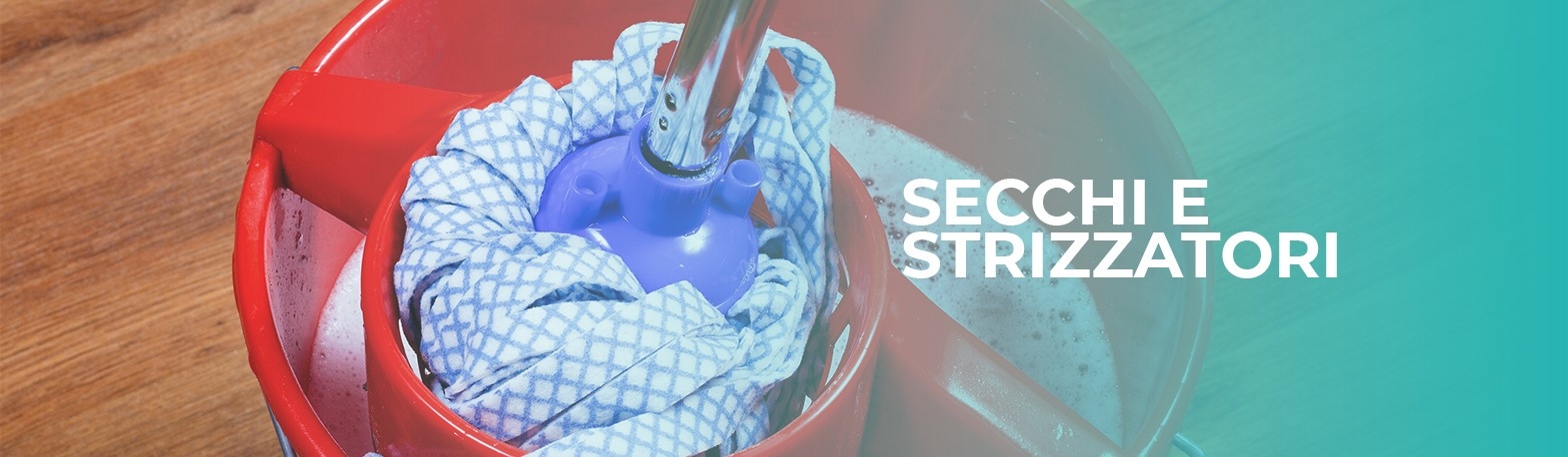 Secchi e strizzatori