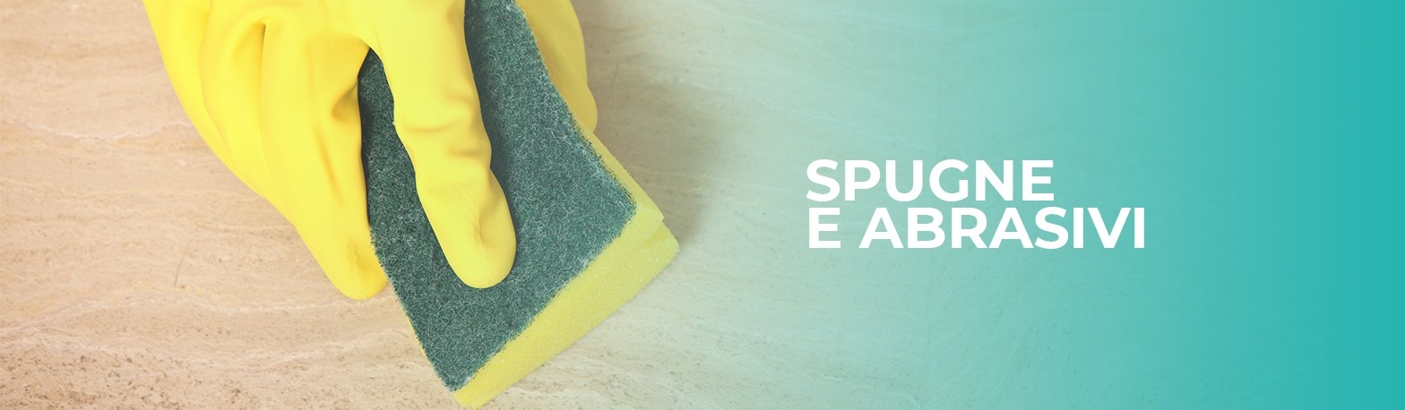 Spugne e Abrasivi